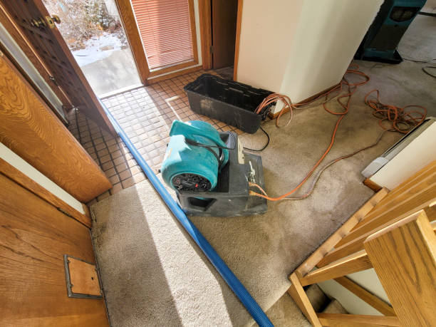 Best Fire Damage Restoration  in Erie, KS