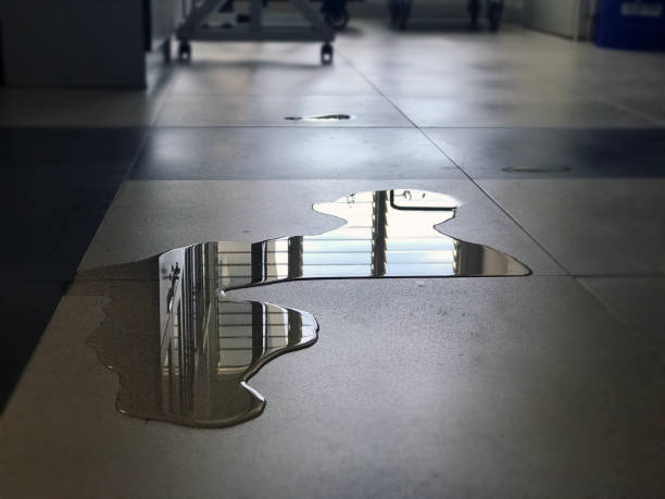 Best Commercial water damage restoration  in Erie, KS