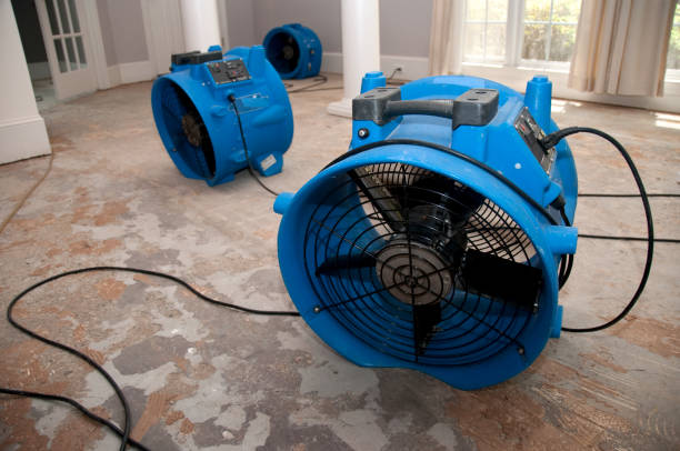 Best Water damage restoration near me  in Erie, KS