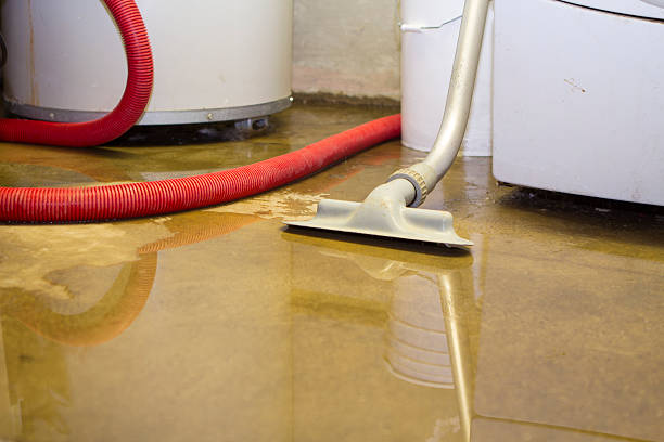 Best Flood damage cleanup  in Erie, KS