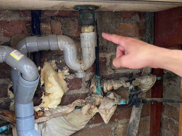 Best Flood restoration services  in Erie, KS
