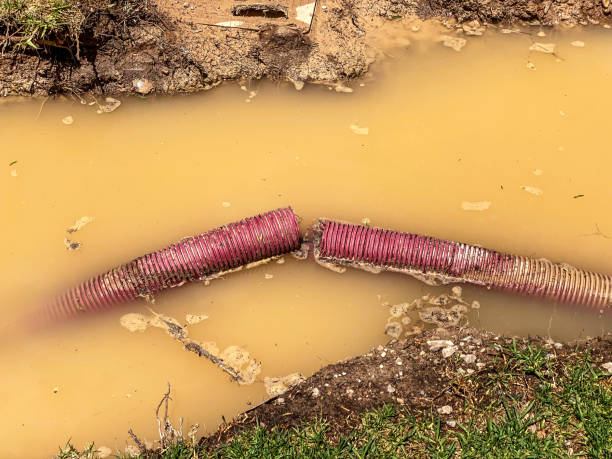 Best 24-hour water damage restoration  in Erie, KS