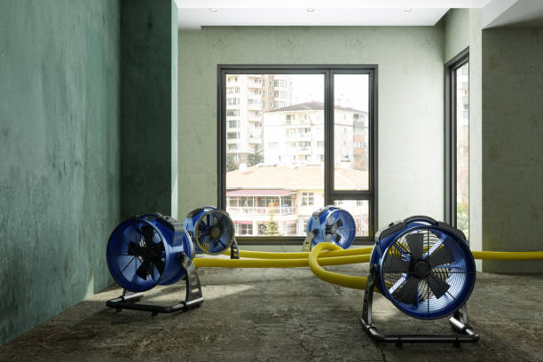 Best Water damage cleanup near me  in Erie, KS