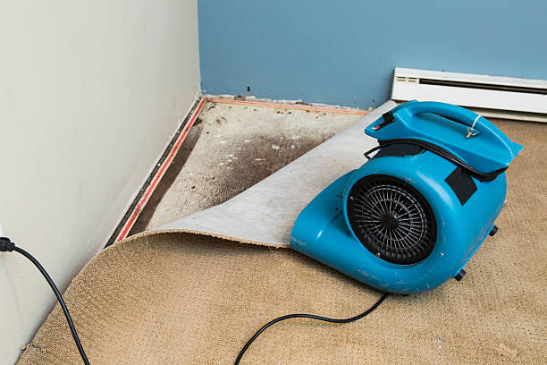 Best Flooded house restoration  in Erie, KS